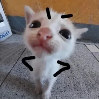 😠