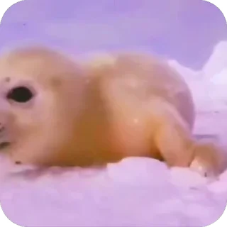 🥰