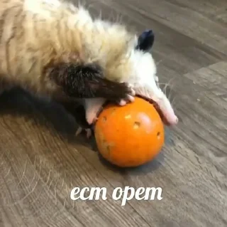 😝