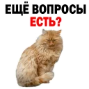 😅