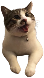 😄