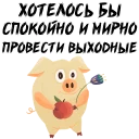 🐷