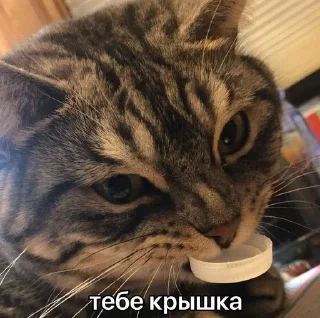 💀