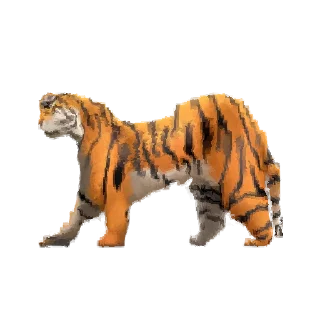 🐅