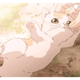 🐈