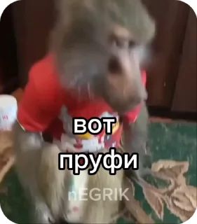 🌟