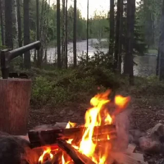 🌟