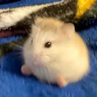 😌