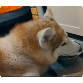 👍