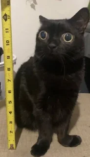 😶