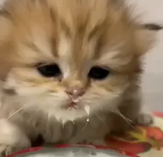 🥛