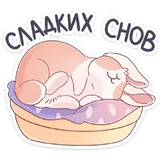 😴