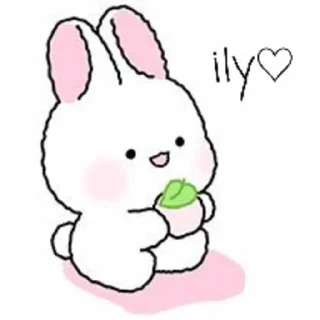 🐇