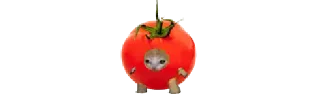 🍅