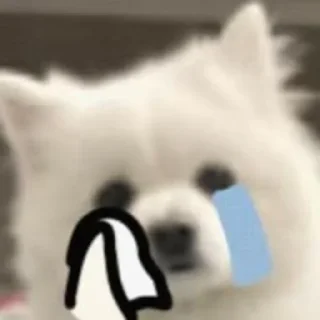😭
