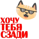 😎