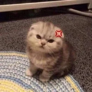 💢