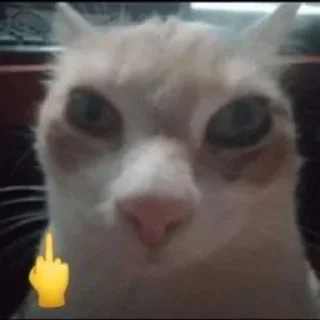 🖕