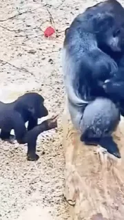 😡