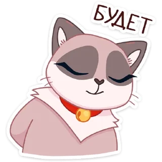 😼