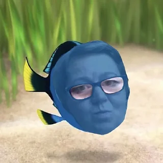 🐟