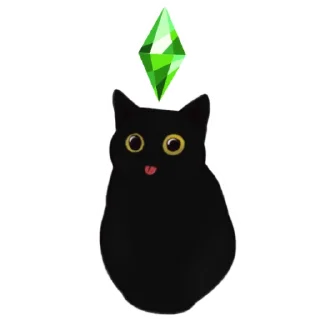 🐈‍⬛