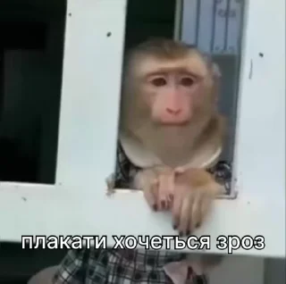 😢