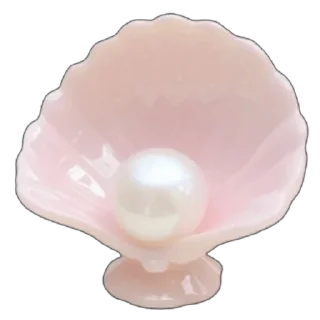 🐚