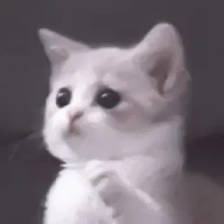 🥺