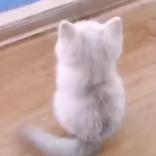 💕