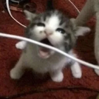 ❤️