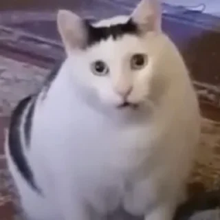 🥺