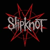 Maggots