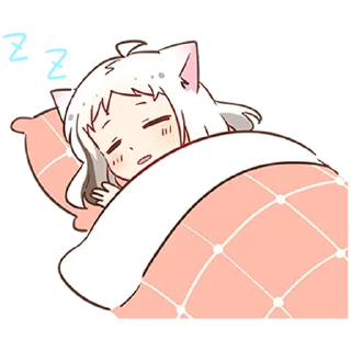 💤