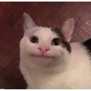 😄
