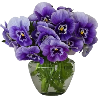 💐
