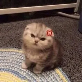 😡
