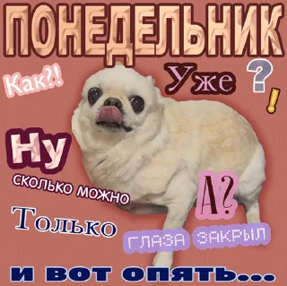 1️⃣