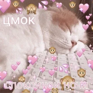 😴