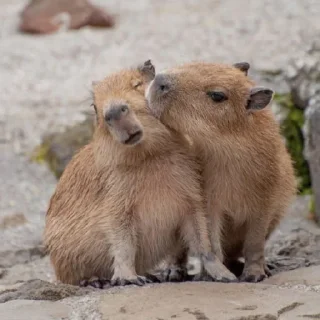 ❤️