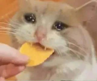 🥺
