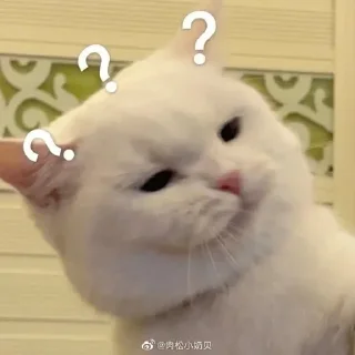 🐶
