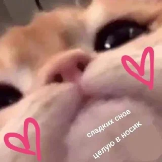 🥰