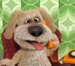 🐶