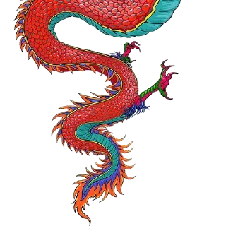 🐲