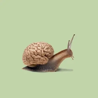 🧠