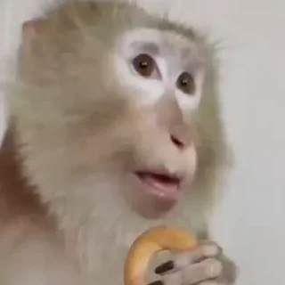 🌟