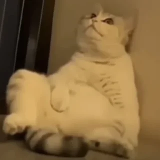 😒