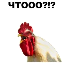 😤