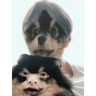 👹